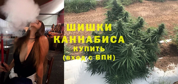 мескалин Богданович