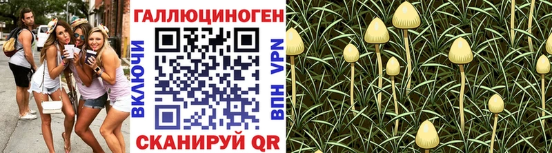 Псилоцибиновые грибы Psilocybe  маркетплейс как зайти  Химки 