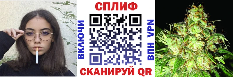Конопля Amnesia  мега ONION  Химки  цена  